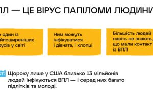 dlia-sajtu-vpl_compressed_page-0003