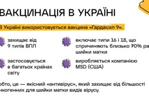 dlia-sajtu-vpl_compressed_page-0014